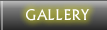 Site Gallery